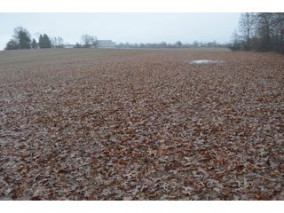 Property photo 17 - FARM AUCTION - 60.5+/- ACRES IN 5 TRACTS IN ALLEN COUNTY, INDIANA